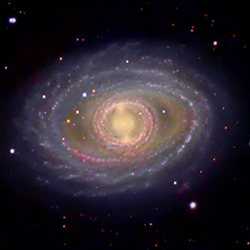 Barred Double Ring Spiral Galaxy NGC 1398 thumbnail