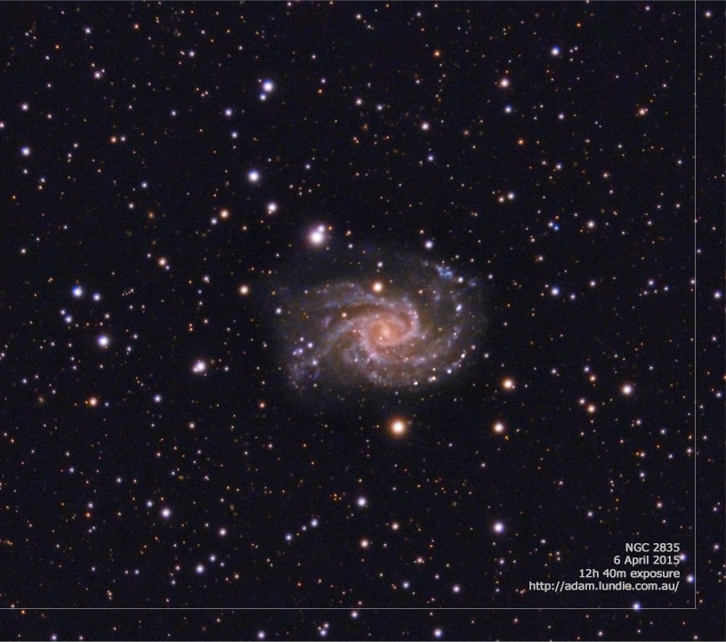 NGC 2835 Spiral Galaxy