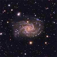 NGC 2835 Spiral Galaxy thumbnail