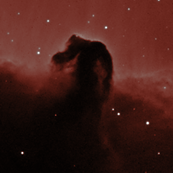 New Mount, New Guiding Optics, and a Test Shot of the Horsehead Nebula thumbnail