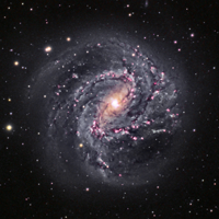 Southern Pinwheel Galaxy M83 thumbnail