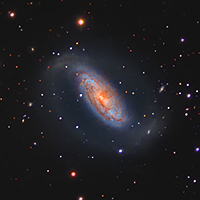 Starburst Galaxy NGC 1808 thumbnail